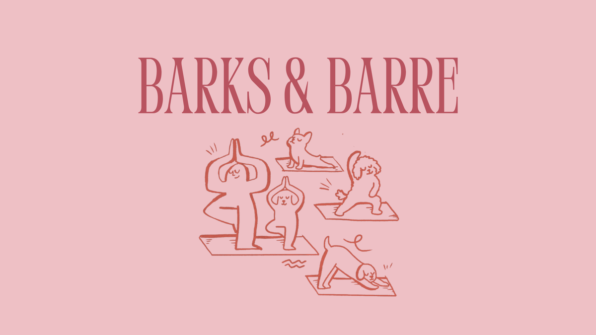 BARKS & BARRE