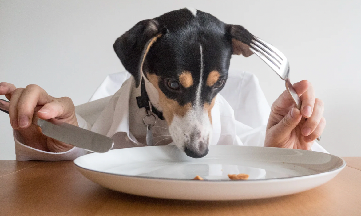 Treats