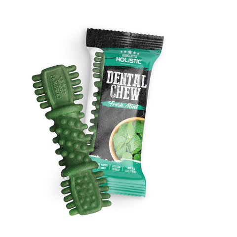Holistic Dental Chew