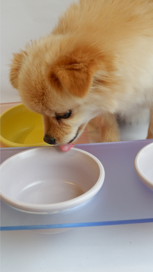 Jelly Bowls