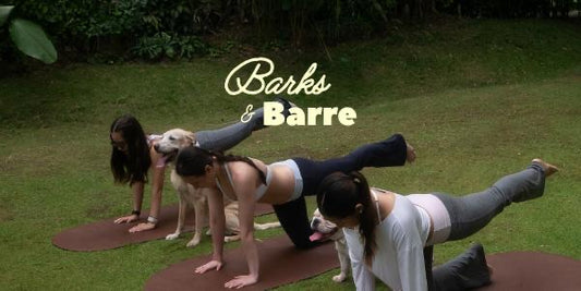 ☼ BARKS & BARRE ♡