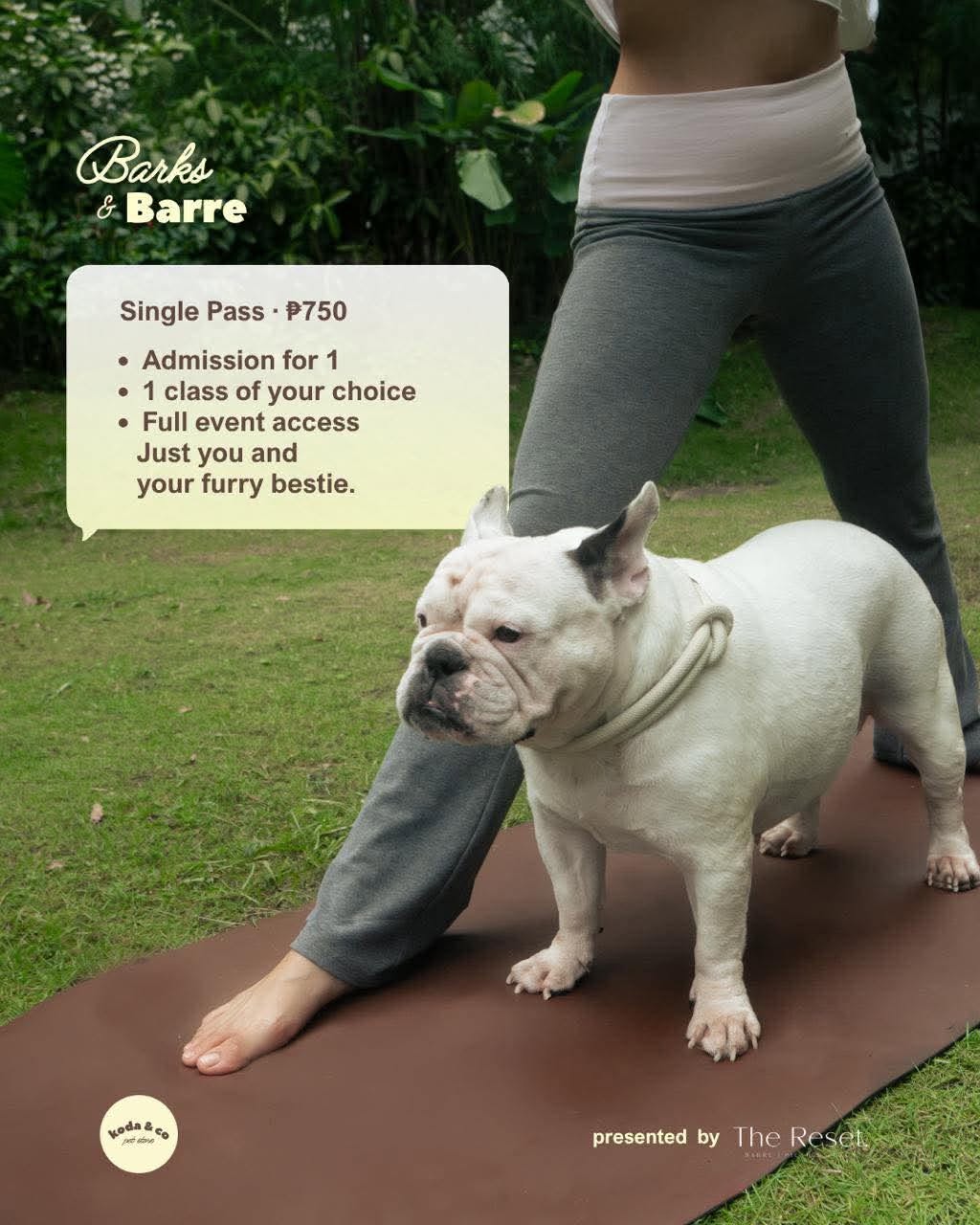☼ BARKS & BARRE ♡