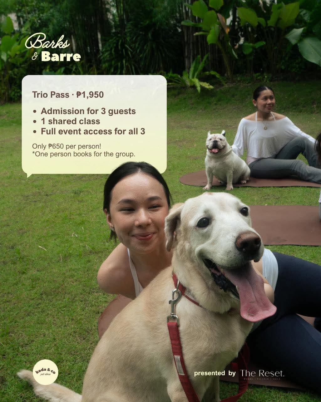 ☼ BARKS & BARRE ♡