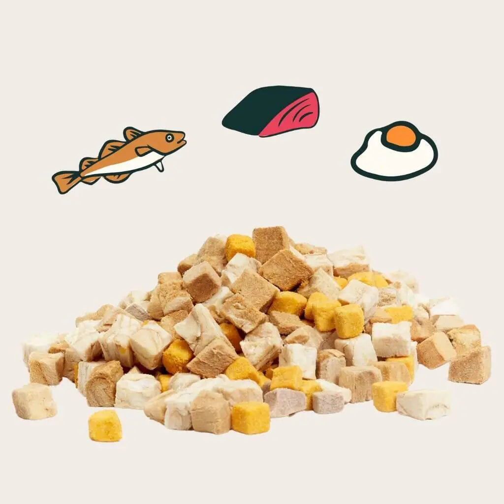 NOTTI: 3-in-1 Wild-Caught Marine Omega Freeze-Dried Cubes