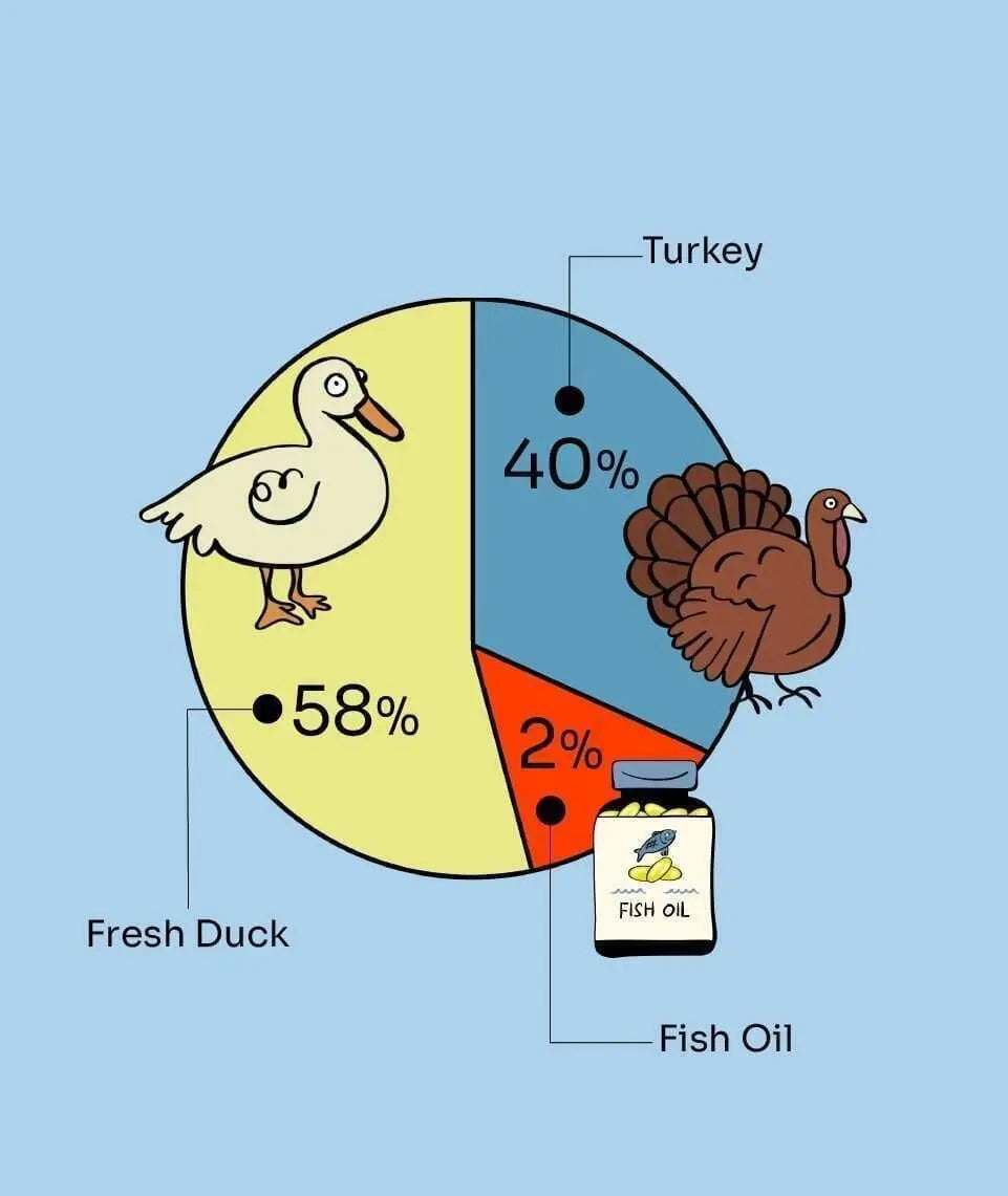 NOTTI: 2-in-1 Allergy Care Turkey & Duck Freeze-Dried Chunks