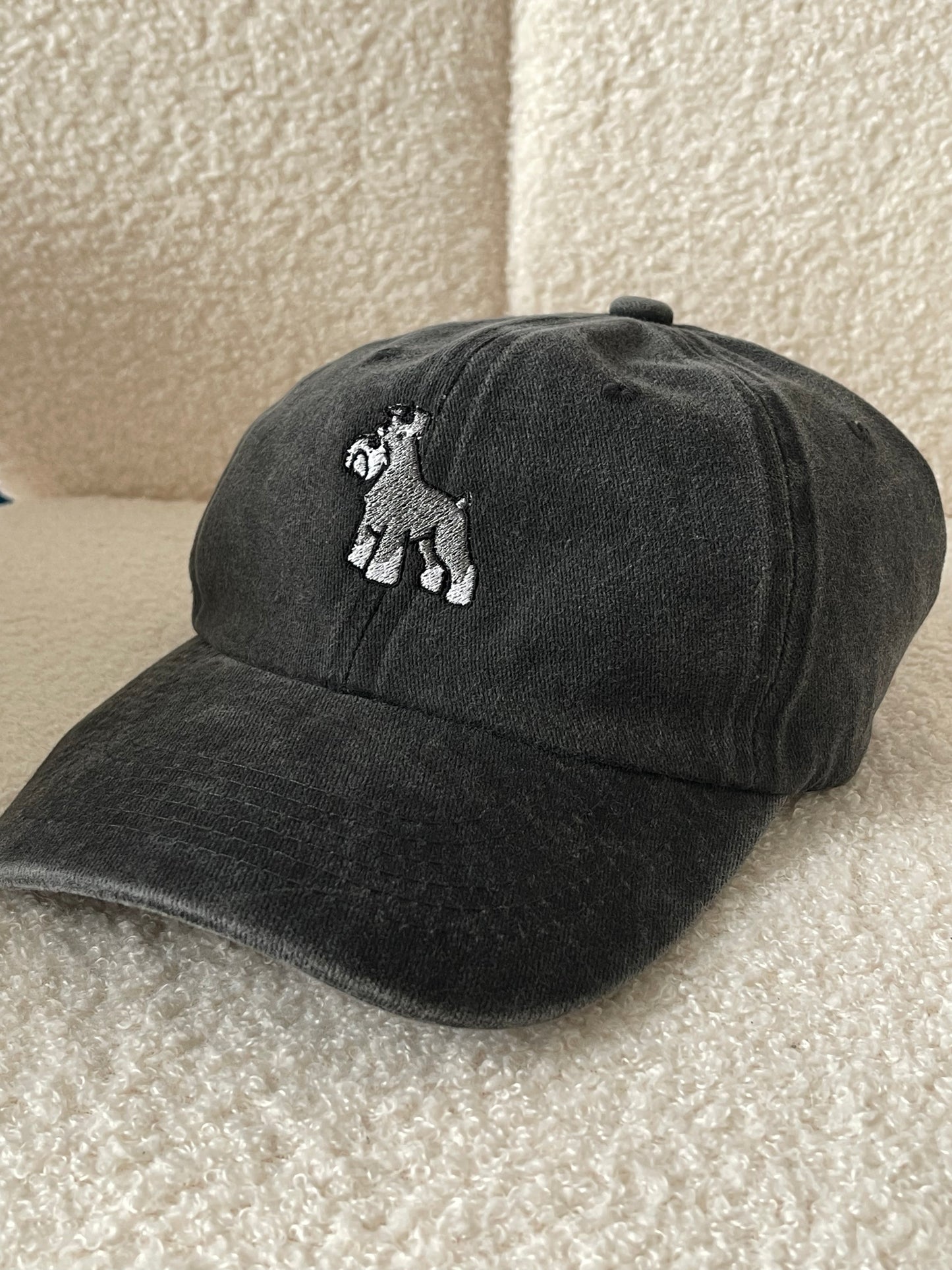 Embroidered Caps