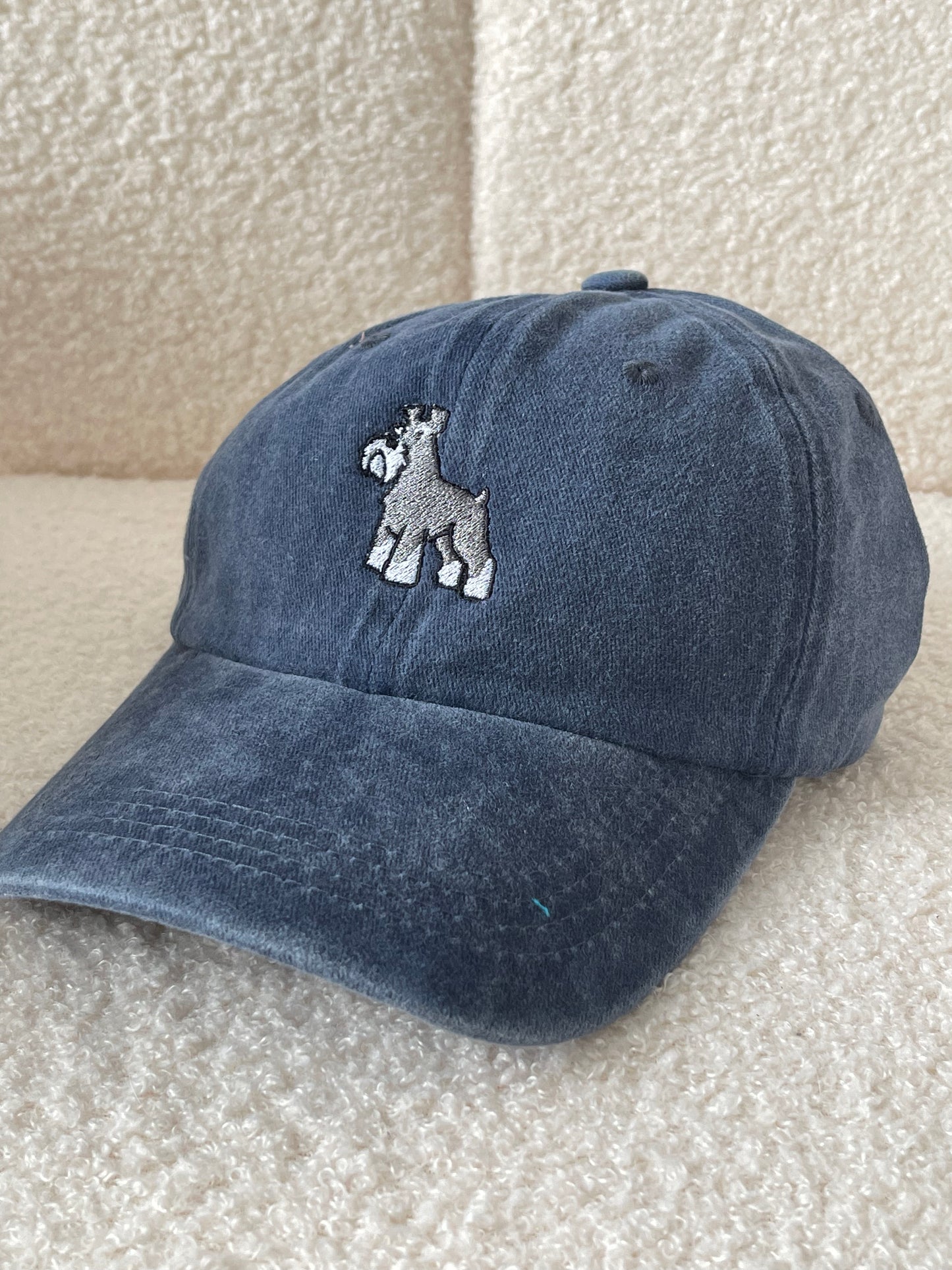 Embroidered Caps