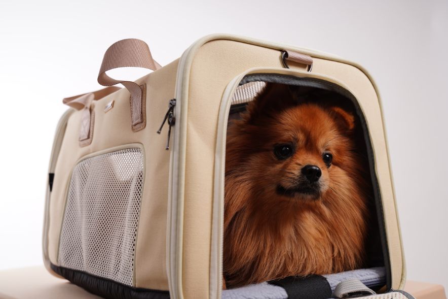 Pet Carrier CITY