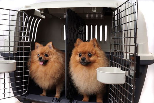 Pet Carrier VOYAGE