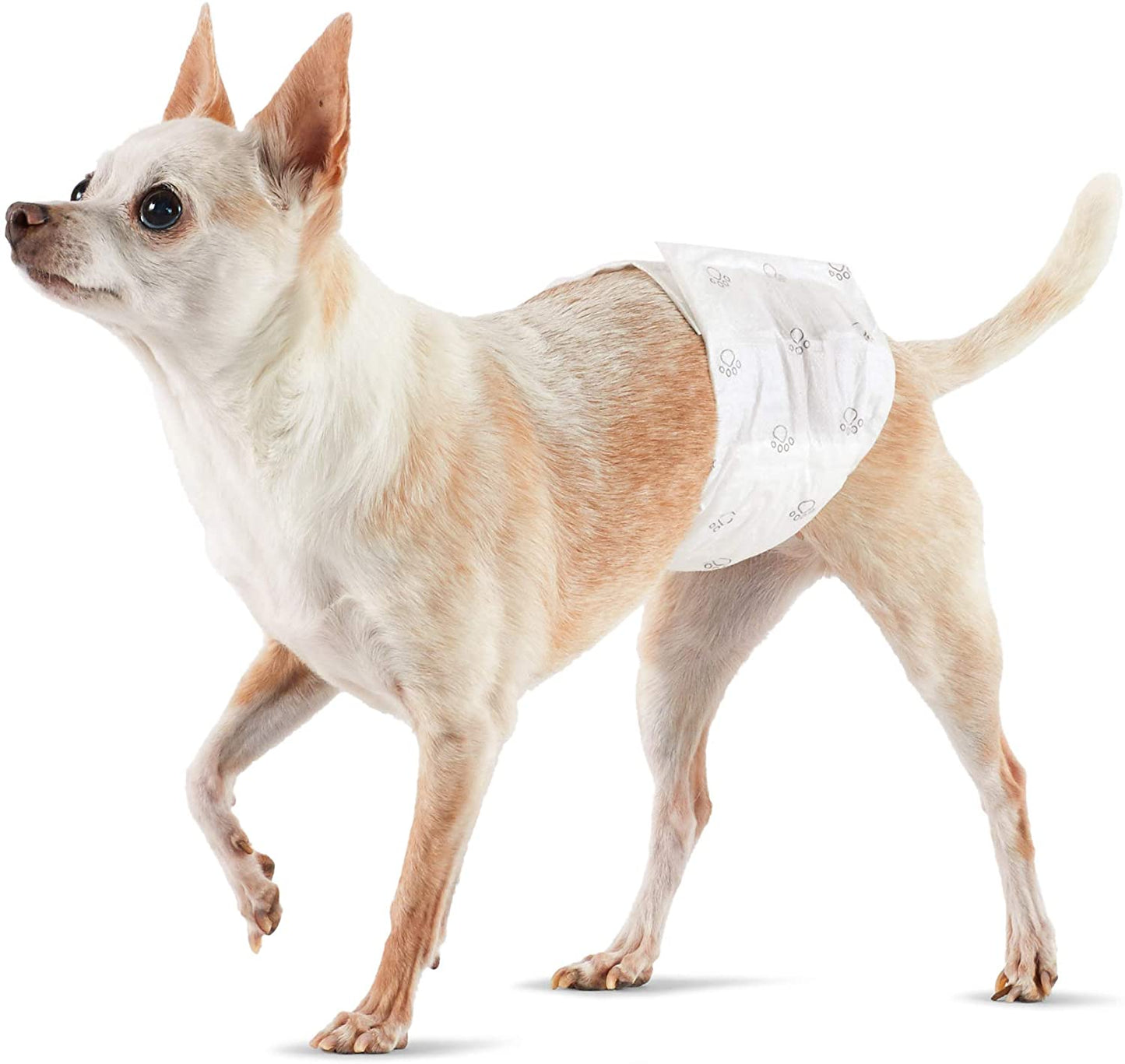 Pet Diapers (Male Wrap)